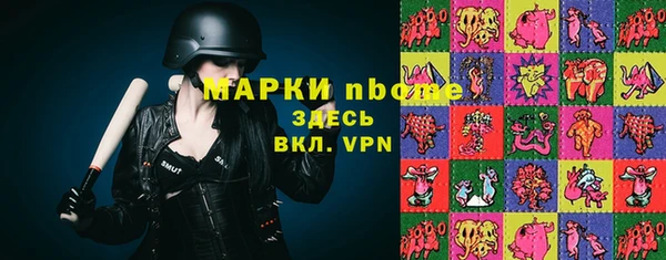 дурь Бронницы