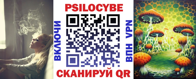 Купить  Кизилюрт  Галлюциногенные грибы MAGIC MUSHROOMS 