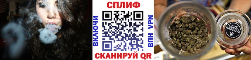 Конопля планчик  Купить  Кизилюрт 